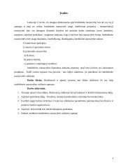 Druskos kubelių idėjos pagrindimas 3 puslapis