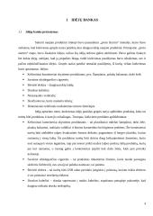 Druskos kubelių idėjos pagrindimas 4 puslapis