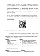 Druskos kubelių idėjos pagrindimas 5 puslapis