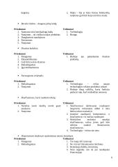 Druskos kubelių idėjos pagrindimas 6 puslapis