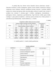 Druskos kubelių idėjos pagrindimas 7 puslapis