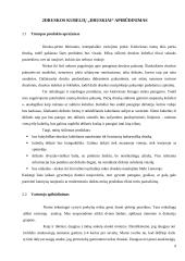 Druskos kubelių idėjos pagrindimas 9 puslapis