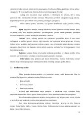 Druskos kubelių idėjos pagrindimas 10 puslapis