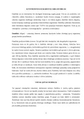 Dumbliai ir jų klasifikacija 2 puslapis