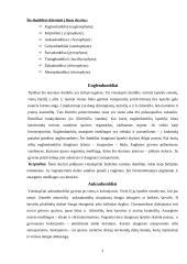 Dumbliai ir jų klasifikacija 3 puslapis