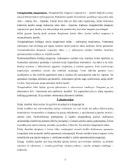 Dumbliai ir jų klasifikacija 5 puslapis