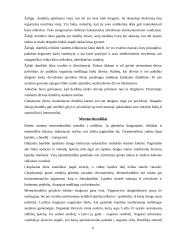 Dumbliai ir jų klasifikacija 6 puslapis