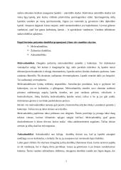 Dumbliai ir jų klasifikacija 7 puslapis