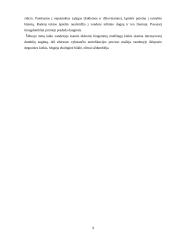 Dumbliai ir jų klasifikacija 9 puslapis