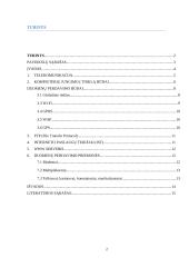 Duomenų perdavimas tinkluose 2 puslapis