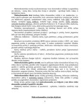 Ekonomikos teorija. Mikroekonomika ir makroekonomika 7 puslapis