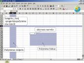 Skaičiuoklė Excel 12 puslapis