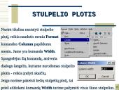 Skaičiuoklė Excel 16 puslapis