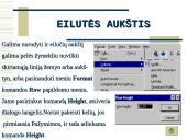 Skaičiuoklė Excel 17 puslapis