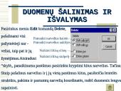 Skaičiuoklė Excel 18 puslapis