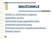 Skaičiuoklė Excel 3 puslapis