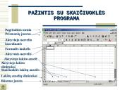 Skaičiuoklė Excel 4 puslapis