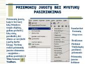 Skaičiuoklė Excel 8 puslapis