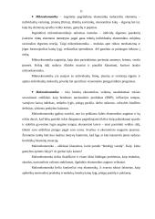 Ekonomikos samprata 12 puslapis