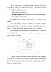 Ekonomikos samprata 8 puslapis