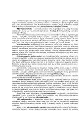 Ekonomikos sąvoka ir sistemos 8 puslapis