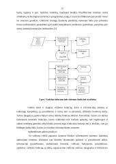 Ekonominės informacinės sistemos 11 puslapis