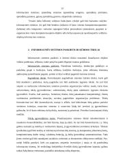 Ekonominės informacinės sistemos 12 puslapis