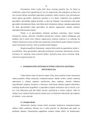 Ekonominės informacinės sistemos 13 puslapis