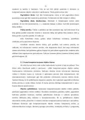 Ekonominės informacinės sistemos 14 puslapis