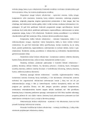 Ekonominės informacinės sistemos 19 puslapis