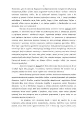 Ekonominės informacinės sistemos 5 puslapis