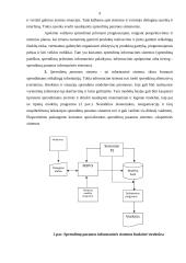 Ekonominės informacinės sistemos 8 puslapis