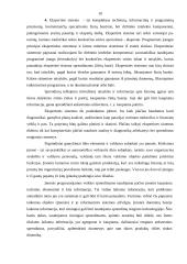 Ekonominės informacinės sistemos 9 puslapis