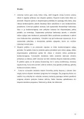 Eksporto skatinimas Lietuvoje 12 puslapis