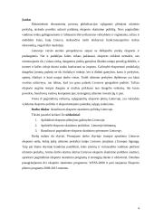 Eksporto skatinimas Lietuvoje 4 puslapis