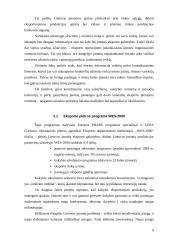 Eksporto skatinimas Lietuvoje 9 puslapis
