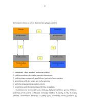 Elektroninių atsiskaitymų už prekes ir paslaugas būdai 10 puslapis
