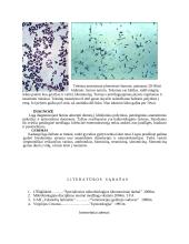 Ėriukų dezinterija, enterotoksemija 7 puslapis