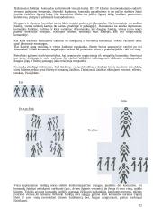 Estafečių esmė, prasmė, grupavimo būdai 11 puslapis