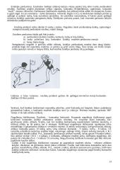 Estafečių esmė, prasmė, grupavimo būdai 12 puslapis