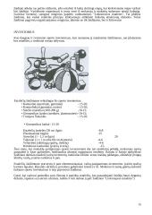 Estafečių esmė, prasmė, grupavimo būdai 14 puslapis