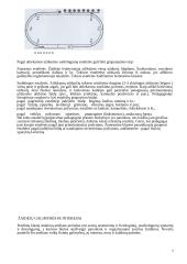 Estafečių esmė, prasmė, grupavimo būdai 6 puslapis