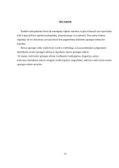 Etika moters aprangoje 13 puslapis