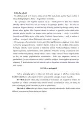 Etika moters aprangoje 7 puslapis