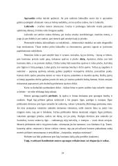 Etika moters aprangoje 9 puslapis