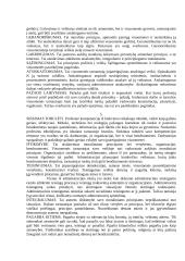 Etika ir etikos problemos viešajame administravime 4 puslapis