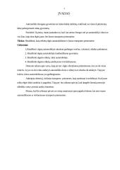 Etiketas automobilyje ir kitose transporto priemonėse 3 puslapis