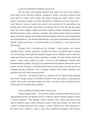 Europos Sąjungos socialinės politikos principų įgyvendinimas lygių galimybių srity 2 puslapis