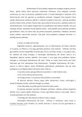 Europos Sąjungos socialinės politikos principų įgyvendinimas lygių galimybių srity 6 puslapis