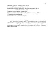 Finansų valdymas: UAB "Senasis Tomas" 13 puslapis